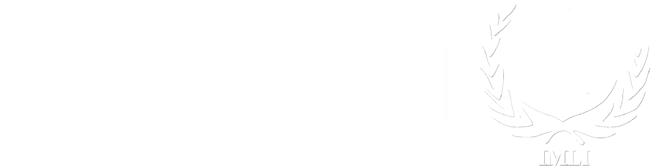 IMO International Maritime Law Institute (IMLI)